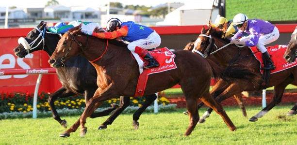 Tatts Tiara 2024 – Field Preview, Odds, Horses, Speed Map and Betting Tips