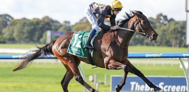 Price eager for another Roumbini surprise