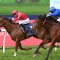 Stakeswinner Midway to redemption