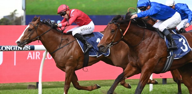Stakeswinner Midway to redemption