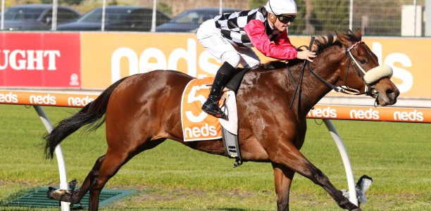 Trainers notified of irregularities in test samples