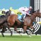 Steel Run holds the call in wide open Mahogany Final