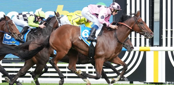Steel Run holds the call in wide open Mahogany Final