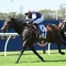 Post Impressionist holds the call for the Caloundra Cup