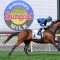 Potential stallion gelded in hope to turn form around