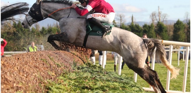 Irish invade the 134th Velka Pardubicka