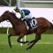 Exciting imported stayer heads odds in open Turnbull Stakes field