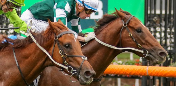 First Settler up for Coolmore Stud Stakes challenge