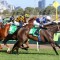 Atishu shining ahead of Empire Rose Stakes