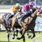 O’Donnell hopes history doesn’t repeat in Lee Steere Stakes