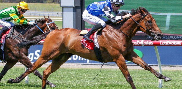 Cranbourne Cup wait and see for Maher quartet