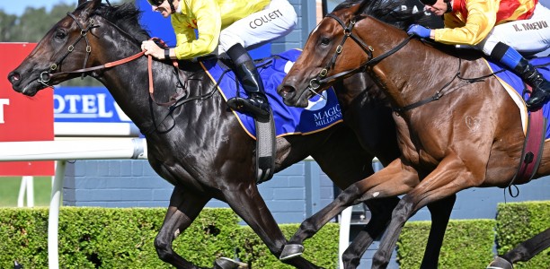 New Magic Millions Classic fancies after Wyong feature