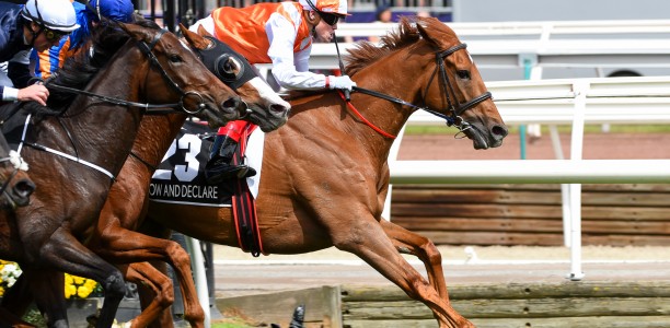 Melbourne Cup Champion Vow And Declare retired