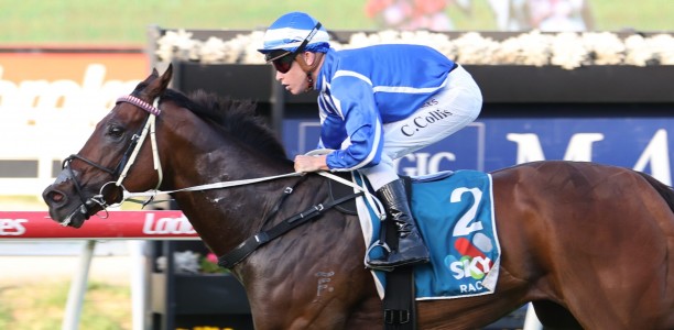 Steady is Ready for the Magic Millions Snippets