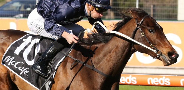 Outback Miss dominant at Warwick Farm races