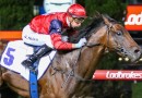 Schwarz smashes rivals in Australia Stakes