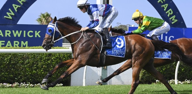 Tajanis too good in the Australia Day Cup