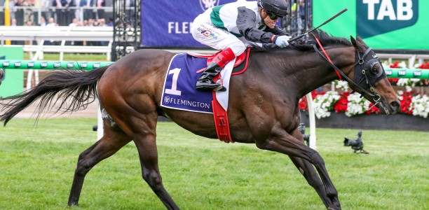 Mr Brightside heads Geelong trial entry