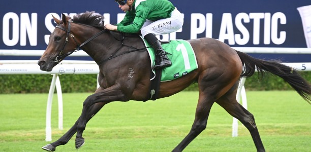 Manaal catches the eye at Randwick trials