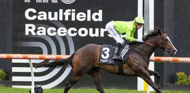 Grahame Begg mares to clash at Sandown