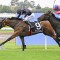 Widden-born Flex chases Widden Stakes win