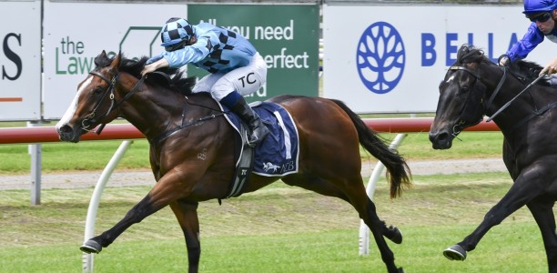 Gear change for Blitzburg in Canonbury Stakes