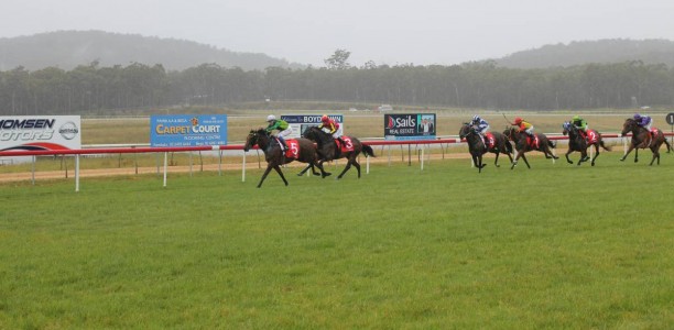 Bega Cup 2025 – Field, Odds, Horses, Tips, and Betting Preview