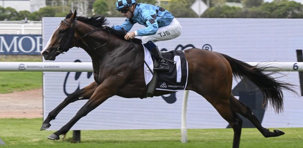 Snitzel colt Blitzes rivals in Canonbury Stakes
