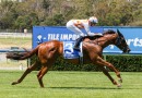 Philosopher to be given shot at G1 Lightning