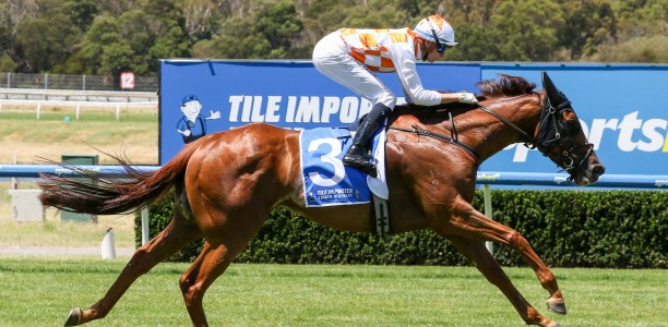 Philosopher to be given shot at G1 Lightning