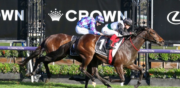 CF Orr Stakes Likely Field – 2025