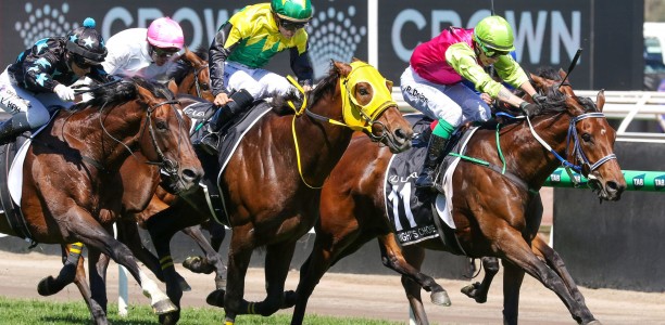 All-Star option for Knight’s Choice