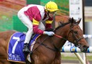 Speedy filly heads odds in open Peter Le Grand Stakes field