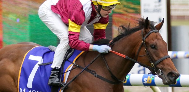 Speedy filly heads odds in open Peter Le Grand Stakes field