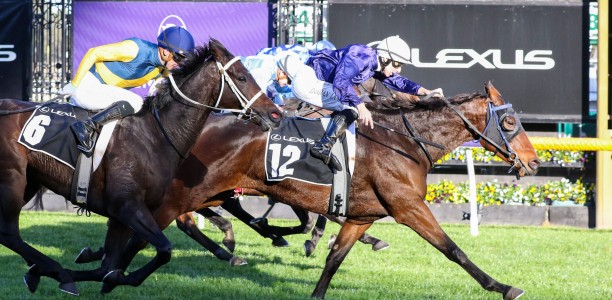 Dappled Map takes familiar path before Cup twist