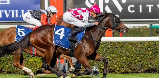 Gluyas gives Arugamama hope in Hobart Cup