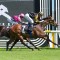 More to come for Leonchroi