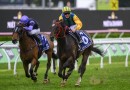 Pride excited but wary ahead of Ceolwulf’s return