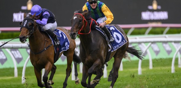 Pride excited but wary ahead of Ceolwulf’s return
