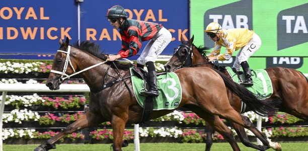 Lady Shenandoah brilliant in Light Fingers Stakes return