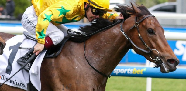 Estriella ripe for Oakleigh Plate improvement