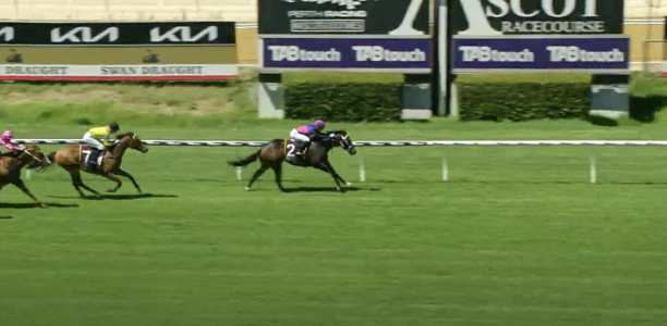 Parnham flags Karrakatta Plate hopes for Magic Millions winner