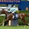 Tulloch Lodge trio chasing gold in Silver Shadow Stakes