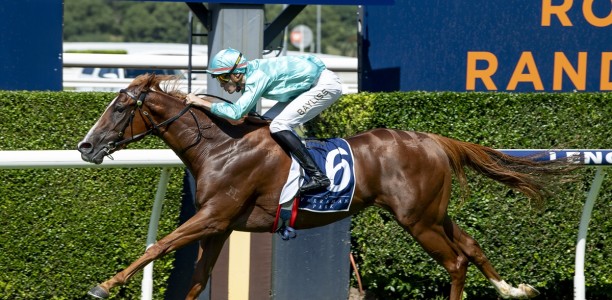 Tulloch Lodge trio chasing gold in Silver Shadow Stakes