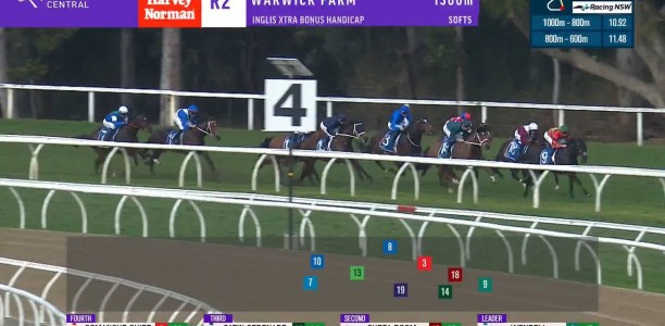 Watch: Princess Series beckons for Smith’s improving Queen