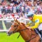 King Of Light tipped to dominate Idyllic Prince Stakes
