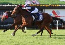 Golden Cross chasing Murwillumbah Cup hat-trick
