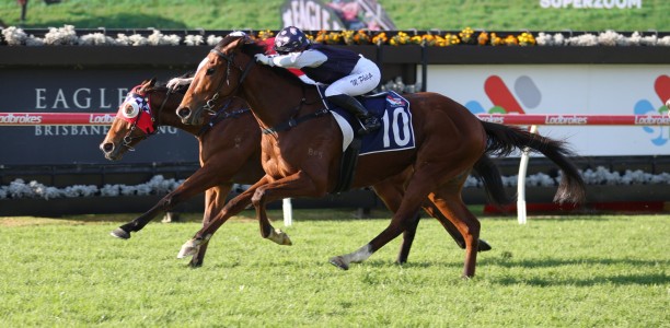 Golden Cross chasing Murwillumbah Cup hat-trick