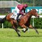 Yellow Jersey set for Cox Plate path after Heatherlie Stakes return