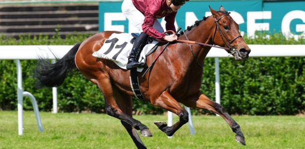 Yellow Jersey set for Cox Plate path after Heatherlie Stakes return